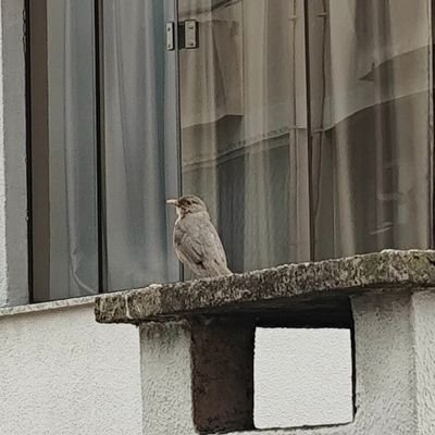 mozky098's profile picture. 