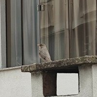mozky (@mozky098) 's Twitter Profile