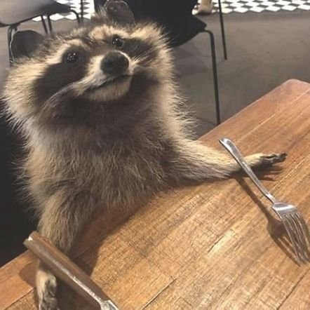 andreamelodyX's profile picture. 