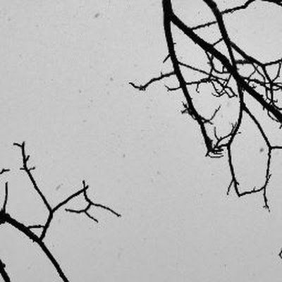 Espurna_21's profile picture. 