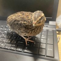 推し日記🪽 (@staffdayon) 's Twitter Profile