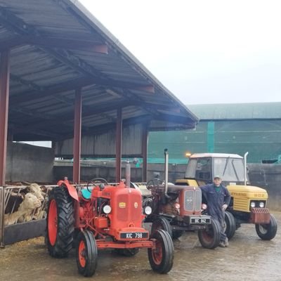 3rd Generation Hereford breeder.Horn &Corn.Geashill native. Low church Irish Prod. Grandad. History nut. Anti Woke. Whiskey drinker. Nuffield tractor owner x2
