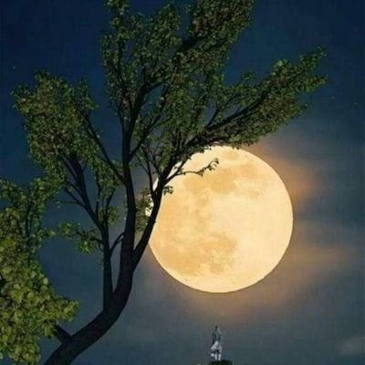 * *اخلاق هم د رزق په څیر دي*
* *چي اڪثره خلڪ پڪښي*
* *فقیران دي*
له څښتن څخه ويره دعلم اوپوهې شروع ده!
خو جاهلان حڪمت او نصيحت ته په سپڪه سترګه ګوري.!