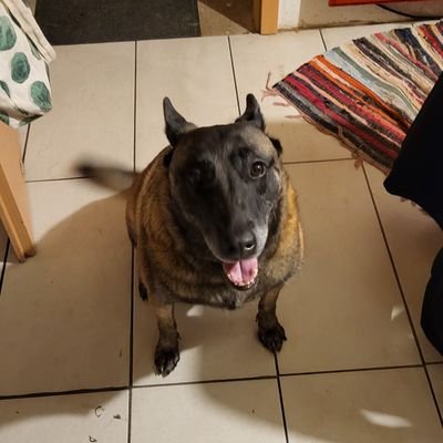 Maike2471033's profile picture. 