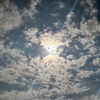 しゅうまい (@bash06_12) 's Twitter Profile