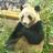 _mado141_'s profile image