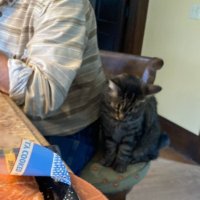 Noah Thomas (@t18noah) Twitter profile photo