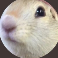りんぐ (@nekonoie_tama) 's Twitter Profile Photo りんぐ (@nekonoie_tama) 's Twitter Profile Photo