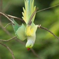 rasida begum (@rasidaar) 's Twitter Profile