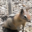 Florence Lin - @ansibs - Twitter