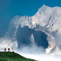 Mikael (@skogsbad) 's Twitter Profile