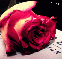 # اصنع الحب واتركه في الطرقات