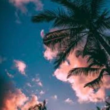 Hodling #SAFEMOON and collecting passive income https://t.co/izv5H98DcV #BillsMafia. #Bayc https://t.co/uPNHLRIsIN