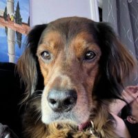 🇺🇸💙 Cubby 💙 🌊 (@cubby65451247) 's Twitter Profile Photo 🇺🇸💙 Cubby 💙 🌊 (@cubby65451247) 's Twitter Profile Photo
