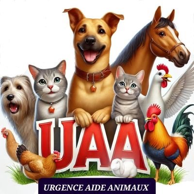 Association créée pour aider
les animaux maltraités ou
abandonnés.
Stérilisation et identification
des chats errants.