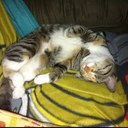 Cathy Burns - @BurnsCathy - Twitter