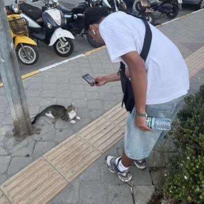 damintypeshi's profile picture. 