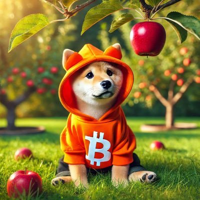 gaozhiwei1314's profile picture. 