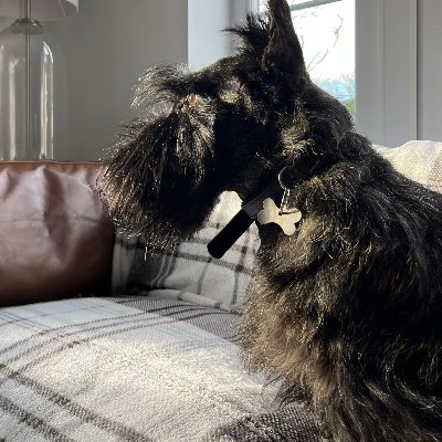 I'm called Fergus and I'm a Scottish Terrier.