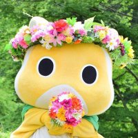 ムッちゃん (@mounttakao) 's Twitter Profile Photo ムッちゃん (@mounttakao) 's Twitter Profile Photo