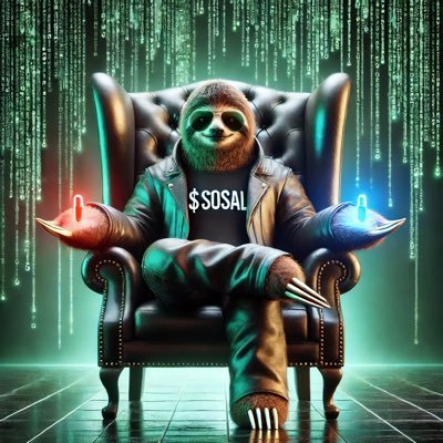 Sosal_xyz's profile picture. 