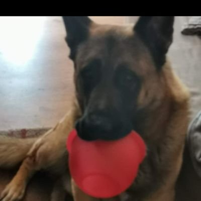 AndreasNie61717's profile picture. Glücklich verheiratet. Und einen kleinen Sohn der uns jeden Tag ein Lächeln ins Gesicht zaubert