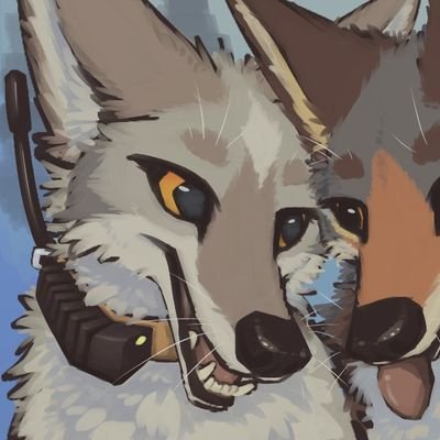 coyote.tel πΊπ΅π³οΈββ§οΈ ββ dd4e π Profile