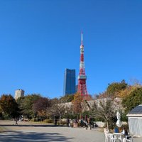 とおる (@qon6zrifrl76706) 's Twitter Profile