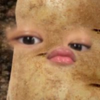noki (@enokirl) 's Twitter Profile