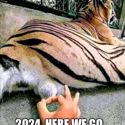 RasmsnC's profile picture. IT college edumacated I is. USN RET