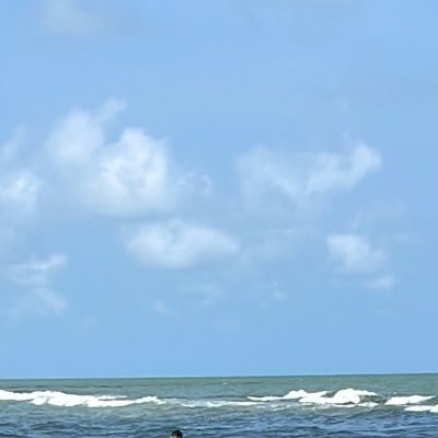 bora