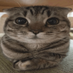 VladRoul (@swagg3r_cs2) Twitter profile photo VladRoul (@swagg3r_cs2) Twitter profile photo