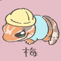 その (@5252af5252) 's Twitter Profile Photo その (@5252af5252) 's Twitter Profile Photo