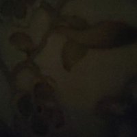 Atizaz Hussain (@atizazhussain4) 's Twitter Profile