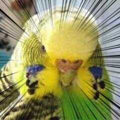 sakachew™☆さんのプロフィール画像