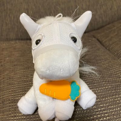 HeyZemicho's profile picture. 競馬歴約30年の普通のサラリーマン👔オカルト馬券好き🐴オッズにとらわれ過ぎ😓JRA中心🫵🏻最近は地方もちょっとやってます😅馬券全然当たりません😭それでもリタイヤ後は馬券生活が夢🤔ネガティブな阪神タイガースファン🐯神奈川の高校野球も応援⚾📣二十代の頃に住んでた北海道が大好き❤️