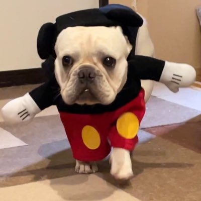 dondon_ppp's profile picture. ゲーマー、マンガ好き、引きこもりたい、株で資産を増やしたい人。