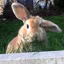 Carmel Hall - @hall_carmel - Twitter