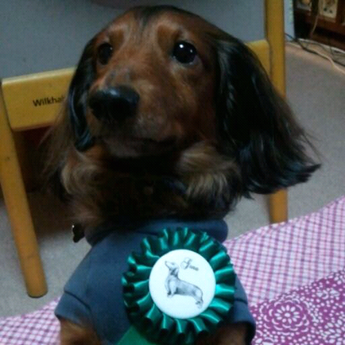 tairon0321's profile picture. 美味しいもの好き| 海外旅行｜特に台湾 常に旅行行くチャンスを探している H09434