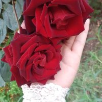 Dalal Almqubah (@dalasy8) Twitter profile photo