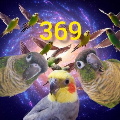 🦜インコたちと暮らす保護司 🏍 バイクで通学見守り🦺
不登校サポートルーム支援員🏫子ども心理カウンセラー
合気道 居合道 剣道 ポジティブ道 武士道 フリラ(こうべPT175)
☣陰謀説は好き フォロバ約90%
引き寄せ 明晰夢 量子脳 天之御中主神🛸
🎌八紘一宇🇯🇵 祈、世界平和・交通安全