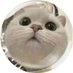 ok (@okk_ay) Twitter profile photo ok (@okk_ay) Twitter profile photo