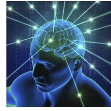 RobertMorrisInc's profile picture. 