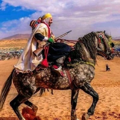 Independenza21's profile picture. chasseur de moorish🐗