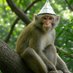 1̦̂0̿͜0̜̚M̱̓o̺͌n͖̒k̯̒e̞͠ỷ͈s̖̅ 🧌🙉 (@100monkeys) Twitter profile photo 1̦̂0̿͜0̜̚M̱̓o̺͌n͖̒k̯̒e̞͠ỷ͈s̖̅ 🧌🙉 (@100monkeys) Twitter profile photo