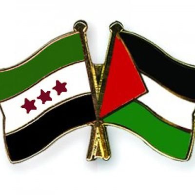 Moh_Anas1's profile picture. 