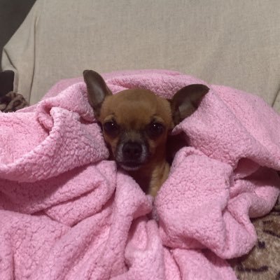 bnnes__'s profile picture. 