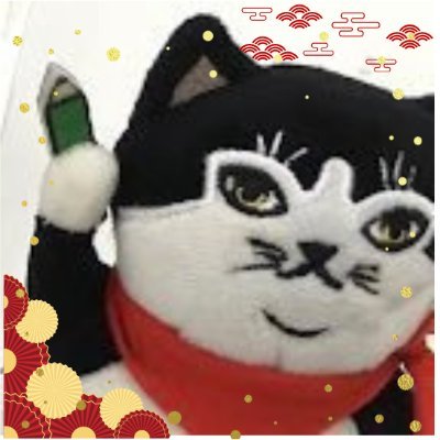 ねこ検定 公式さんのプロフィール画像