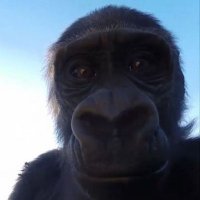 Cooper0x (@cooper0xx) 's Twitter Profile