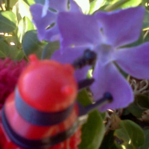 Takes pictures. mostly of Daleks.